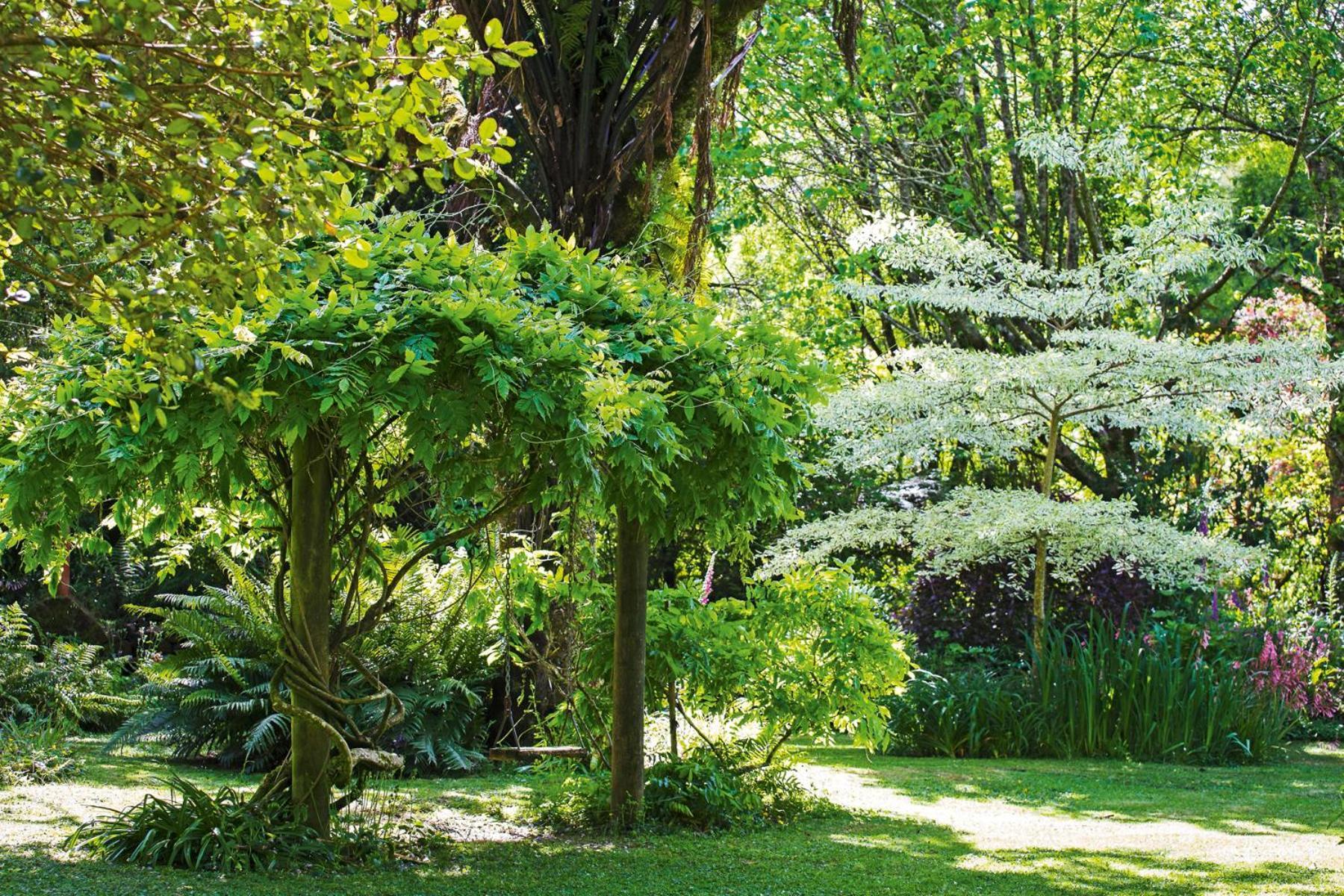 Вилла Tepopo Gardens Rural Retreat Стратфорд Экстерьер фото
