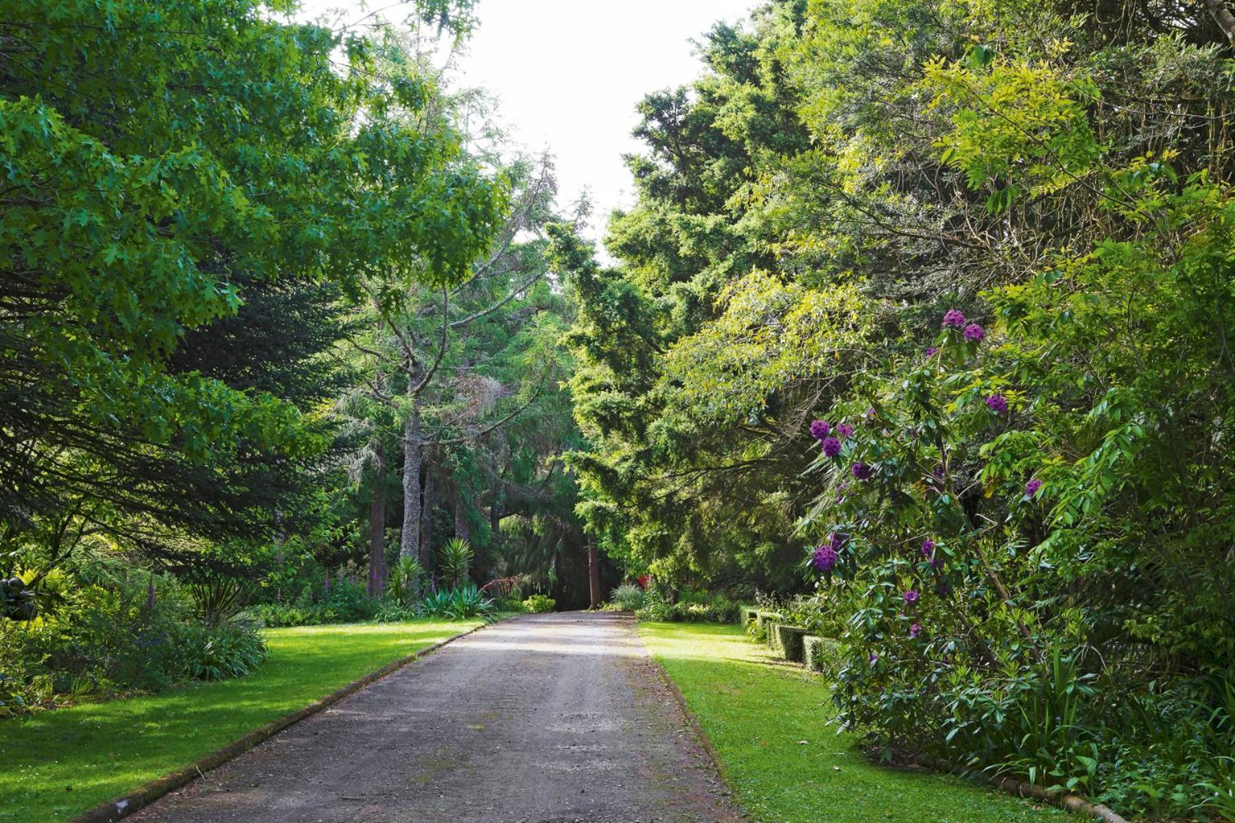 Вилла Tepopo Gardens Rural Retreat Стратфорд Экстерьер фото
