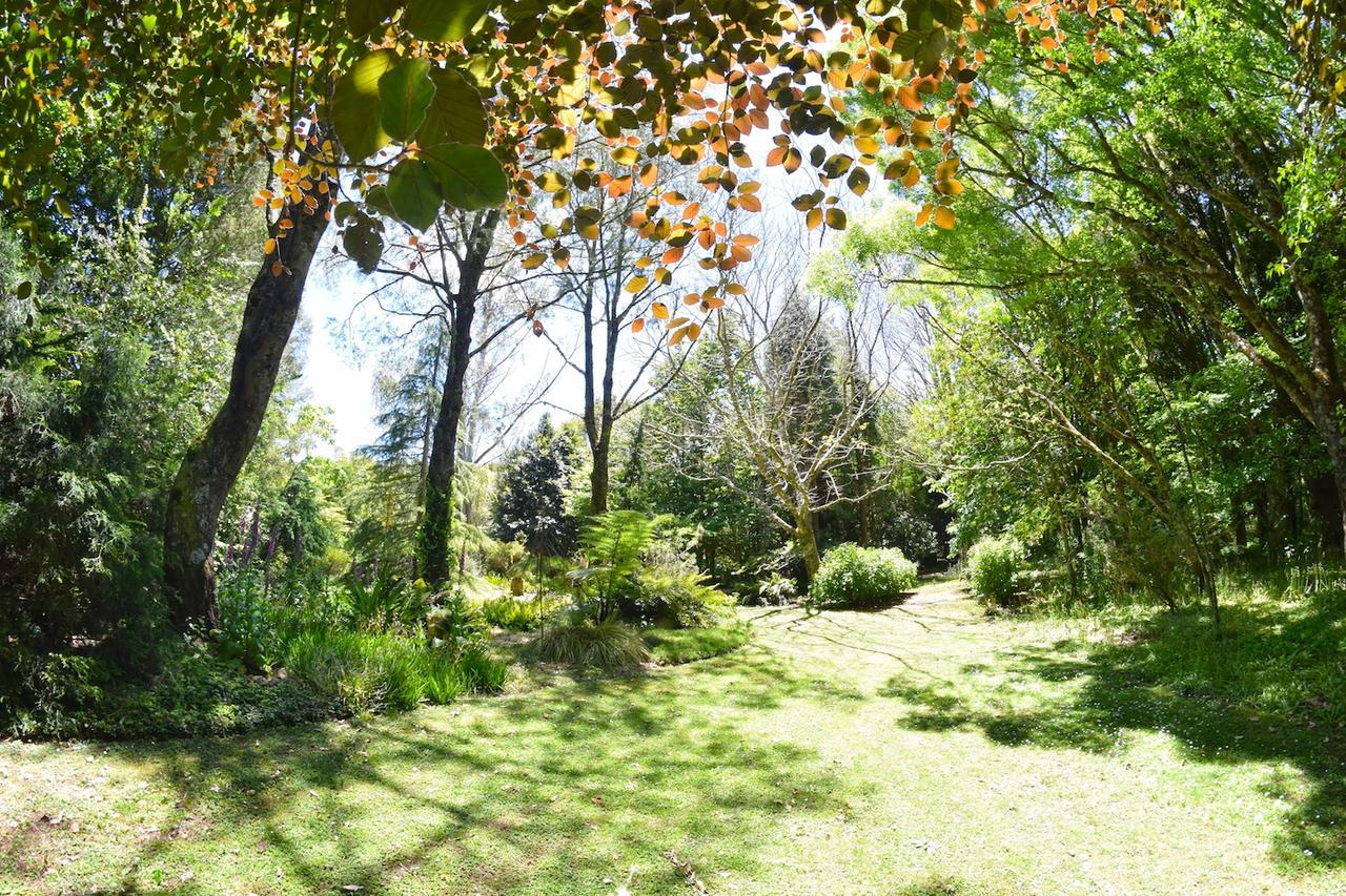 Вилла Tepopo Gardens Rural Retreat Стратфорд Экстерьер фото